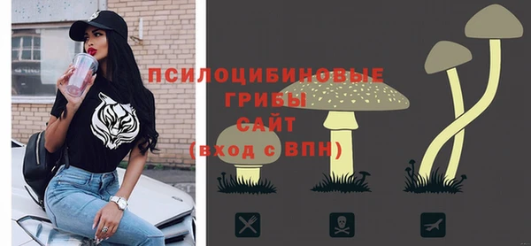 ПСИЛОЦИБИНОВЫЕ ГРИБЫ Волоколамск