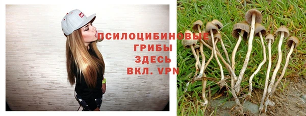 ПСИЛОЦИБИНОВЫЕ ГРИБЫ Волоколамск