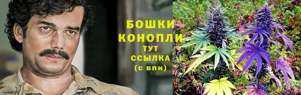 крисы Волосово