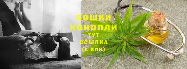 ПСИЛОЦИБИНОВЫЕ ГРИБЫ Волоколамск