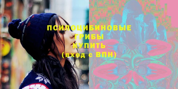 ПСИЛОЦИБИНОВЫЕ ГРИБЫ Волоколамск