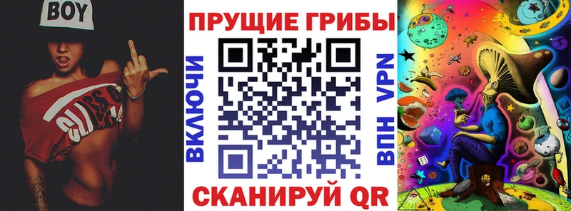 Галлюциногенные грибы Psilocybe  Северская 