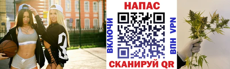 Шишки марихуана Bruce Banner  Северская 